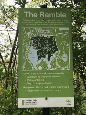 The Ramble by null