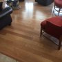 Photo of House of Floors
