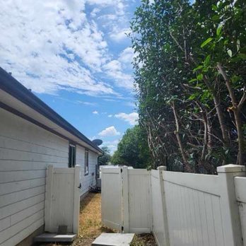 Domingo Tree Service - Tree Services Near Me