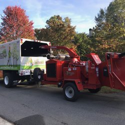 Monster Tree Service of South Charlotte