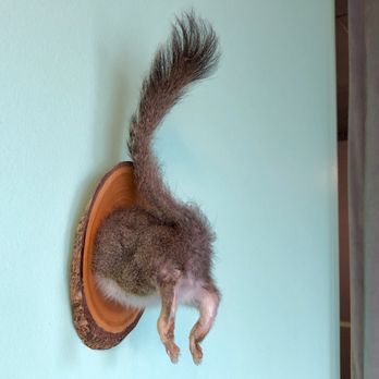 Egg Mann and Earl - Squirrel butts! - Breakfast & Brunch Near Me - Boise, Idaho Egg Mann and Earl - Squirrel butts! - Breakfast & Brunch Near Me - Boise, Idaho