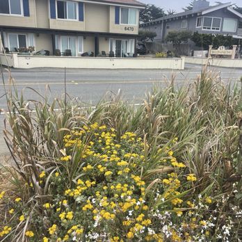 Blue Dolphin Inn - Dolphin Inn from the boardwalk - Hotels Near Me - Cambria, California