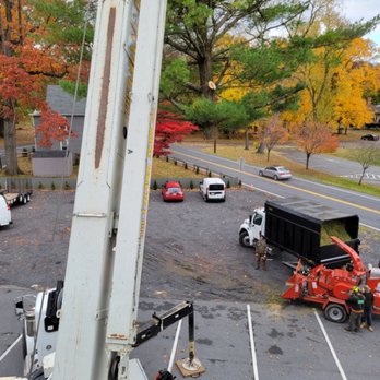 K&R Tree Service - Tree Services Near Me K&R Tree Service - Tree Services Near Me