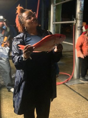 Venice Marina by null