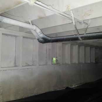 Mold Removal - Damage Restoration Near Me Mold Removal - Damage Restoration Near Me