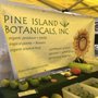 Pine Island Botanicals