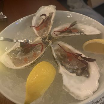 SJ’s - Oysters - Diners Near Me - Boston, Massachusetts