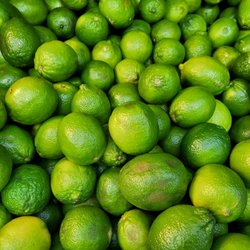 La favorita Market
