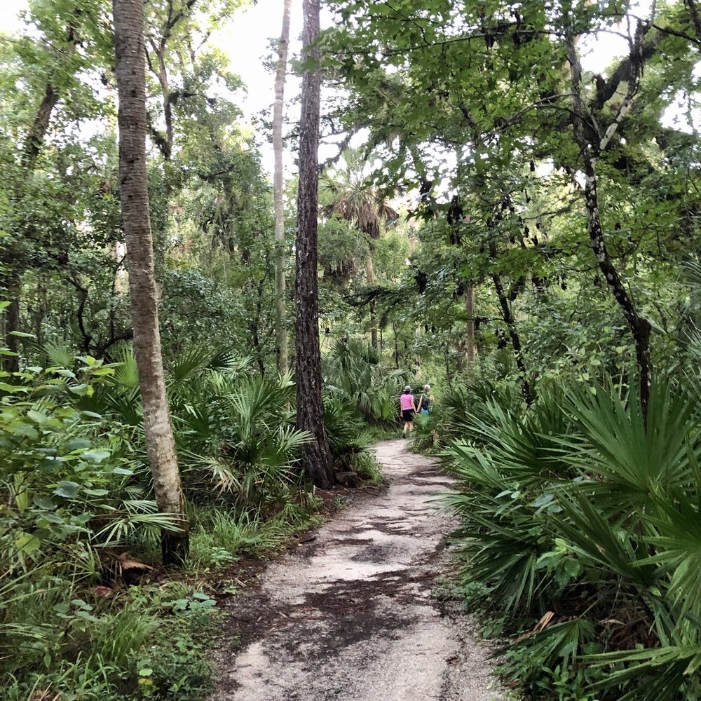 Black Bear Wilderness Area - Beginning of the trail. - Hiking Near Me - Sanford, Florida