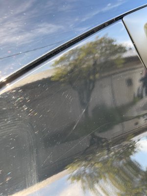 Elephant Car Wash by null