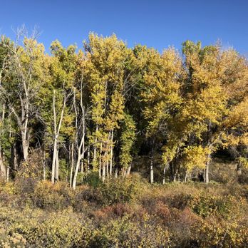 High Line Canal Trail - Hiking Near Me