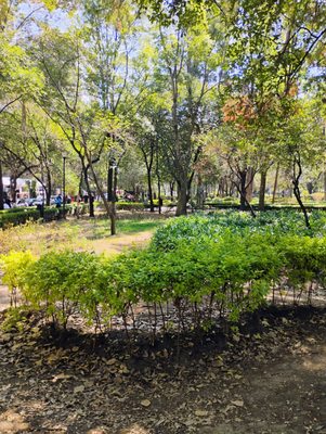 Parque Lincoln by null