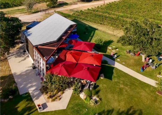 Adega Vinho Winery by null