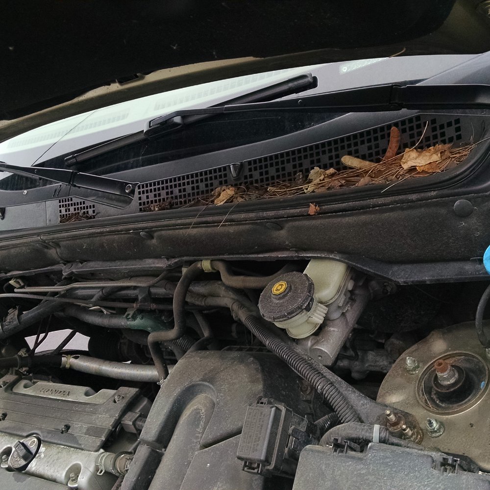 Ziebart - Engine before - Auto Detailing Near Me - Rochester, New York Ziebart - Engine before - Auto Detailing Near Me - Rochester, New York