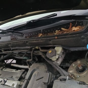 Ziebart - Engine before - Auto Detailing Near Me - Rochester, New York Ziebart - Engine before - Auto Detailing Near Me - Rochester, New York