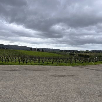 Chamisal Vineyards - View from the winery - Wine Tasting Room Near Me - San Luis Obispo, California Chamisal Vineyards - View from the winery - Wine Tasting Room Near Me - San Luis Obispo, California