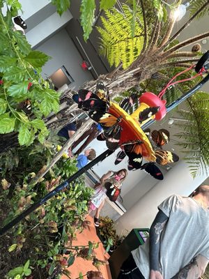 Audubon Insectarium by null