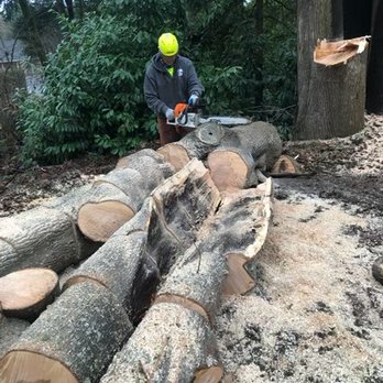Brundage Tree Service - They sliced it all up for us - Tree Services Near Me
