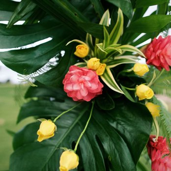 Teresa Sena Designs - Wedding Planning Near Me Teresa Sena Designs - Wedding Planning Near Me