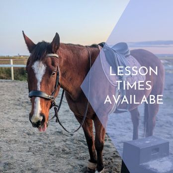 Freestyle Horsemanship - Horseback Riding Near Me - Langley , British Columbia