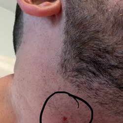 Primos II Barber Shop - Blood, second time