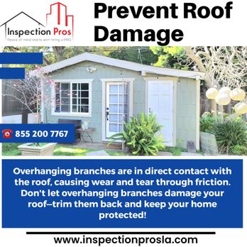 Inspection Pros - Don't let overhanging branches damage your roof--trim them back and keep your home protected! - Home Inspectors Near Me Inspection Pros - Don't let overhanging branches damage your roof--trim them back and keep your home protected! - Home Inspectors Near Me
