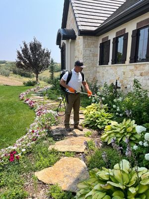 ZeroBugs Denver by null