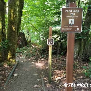 McLane Creek Nature Trail - Parks Near Me - Olympia, Washington McLane Creek Nature Trail - Parks Near Me - Olympia, Washington
