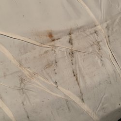 Berger Realty - This was the mattress cover in unit 510