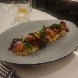 River Lounge - Octopus