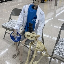 Albertsons Pharmacy - Heeee's back
