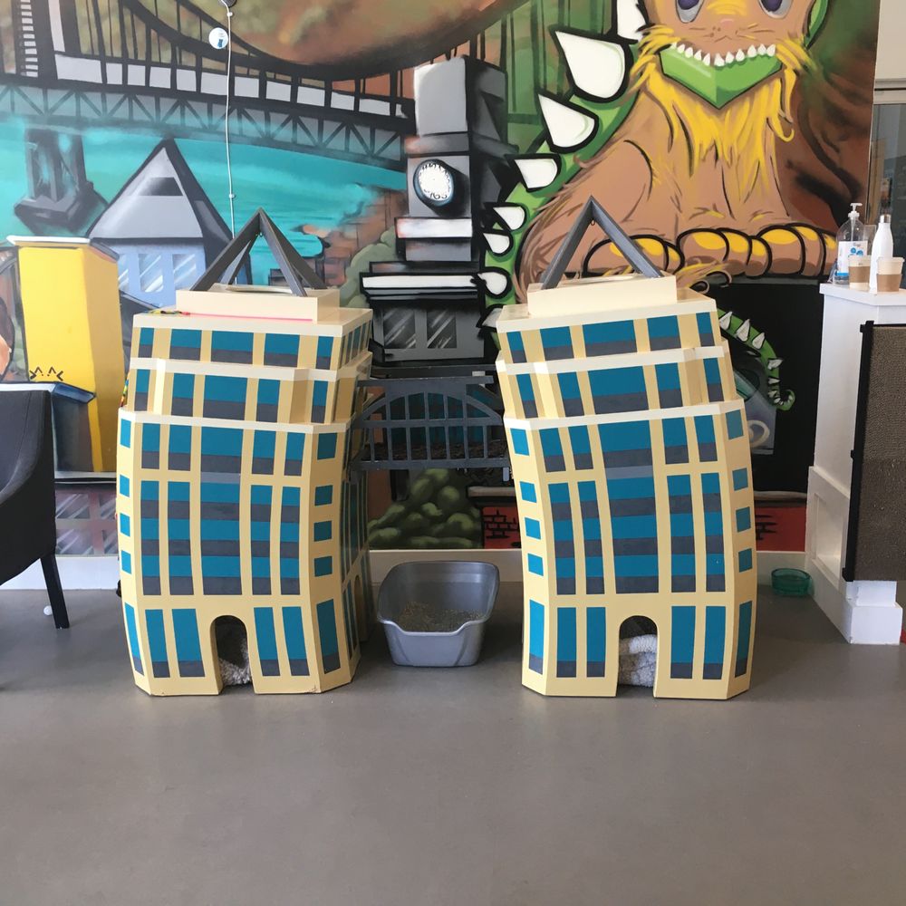 Cat Town - Animal Shelters Near Me - Oakland, California Cat Town - Animal Shelters Near Me - Oakland, California