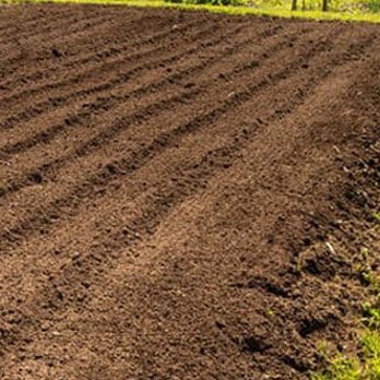 Tennessee Road Warrior - Greeneville TN Tilling service - Landscaping Near Me Tennessee Road Warrior - Greeneville TN Tilling service - Landscaping Near Me