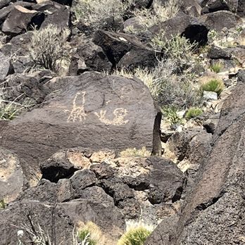 Petroglyph National Monument - This almost looked like a mermaid! - Landmarks & Historical Buildings Near Me - Albuquerque, New Mexico