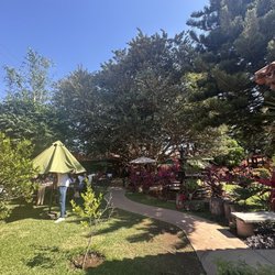 La Veracruz - Outdoor patio