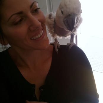 Paws Pet Services - Tiki the cockatoo! - Pet Sitting Near Me Paws Pet Services - Tiki the cockatoo! - Pet Sitting Near Me