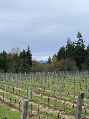 Windy Hills Winery by null
