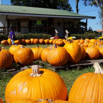 Conner's A-Maize-Ing Acres - Venues & Event Spaces Near Me - Hilliard, Florida