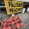 Debbie’s Palisade Peaches gift card