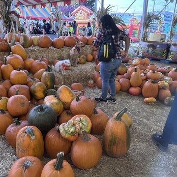 Frosty's Forest Pumpkin Patch - Dog friendly - Attraction Farms Near Me - Chino, California Frosty's Forest Pumpkin Patch - Dog friendly - Attraction Farms Near Me - Chino, California