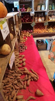 Somerville Winter Farmers Market by null