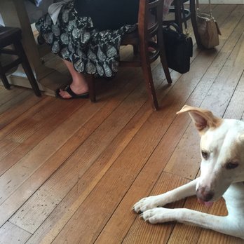 Nocciola - My doggie was welcomed in the patio area. She was very pleased. - Italian Near Me - Ojai, California Nocciola - My doggie was welcomed in the patio area. She was very pleased. - Italian Near Me - Ojai, California