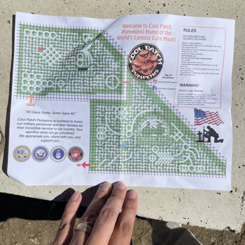 Cool Patch Pumpkins - Pumpkin Patches Near Me - Dixon, California