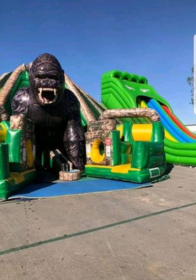Jumpers For All - We offer all size Jumpers including activities for small children and adults.