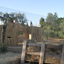 Surpaintball