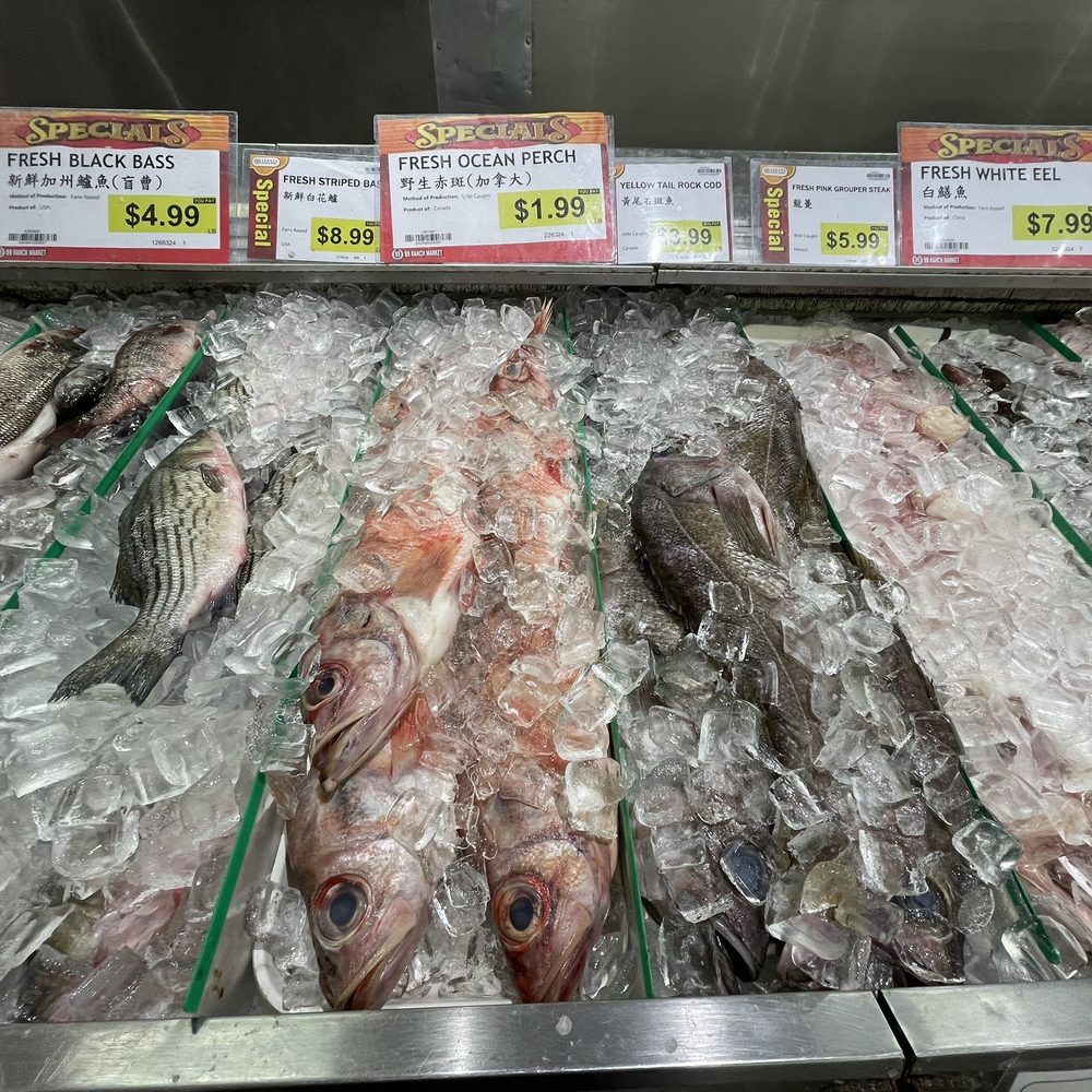 99 Ranch Market - Seafood Markets Near Me - Dublin, California 99 Ranch Market - Seafood Markets Near Me - Dublin, California