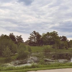 Morehouse Park - One of the ponds you can fish in.