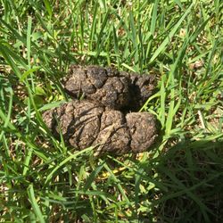 Composting Concepts
