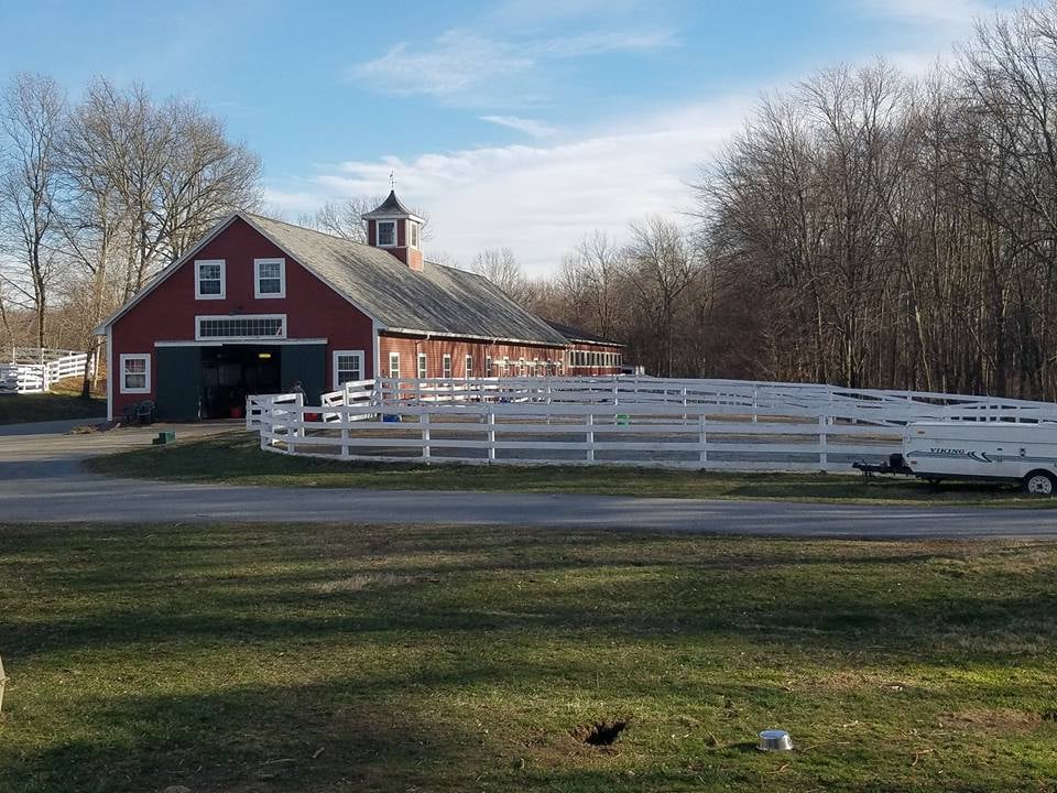 Liberty Tree Farm - equestrian in Acton, MA