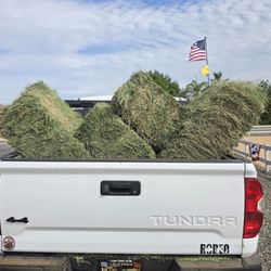 SoCal Hay & Grain - Wildomar - Loaded Unicorn Alfalfa